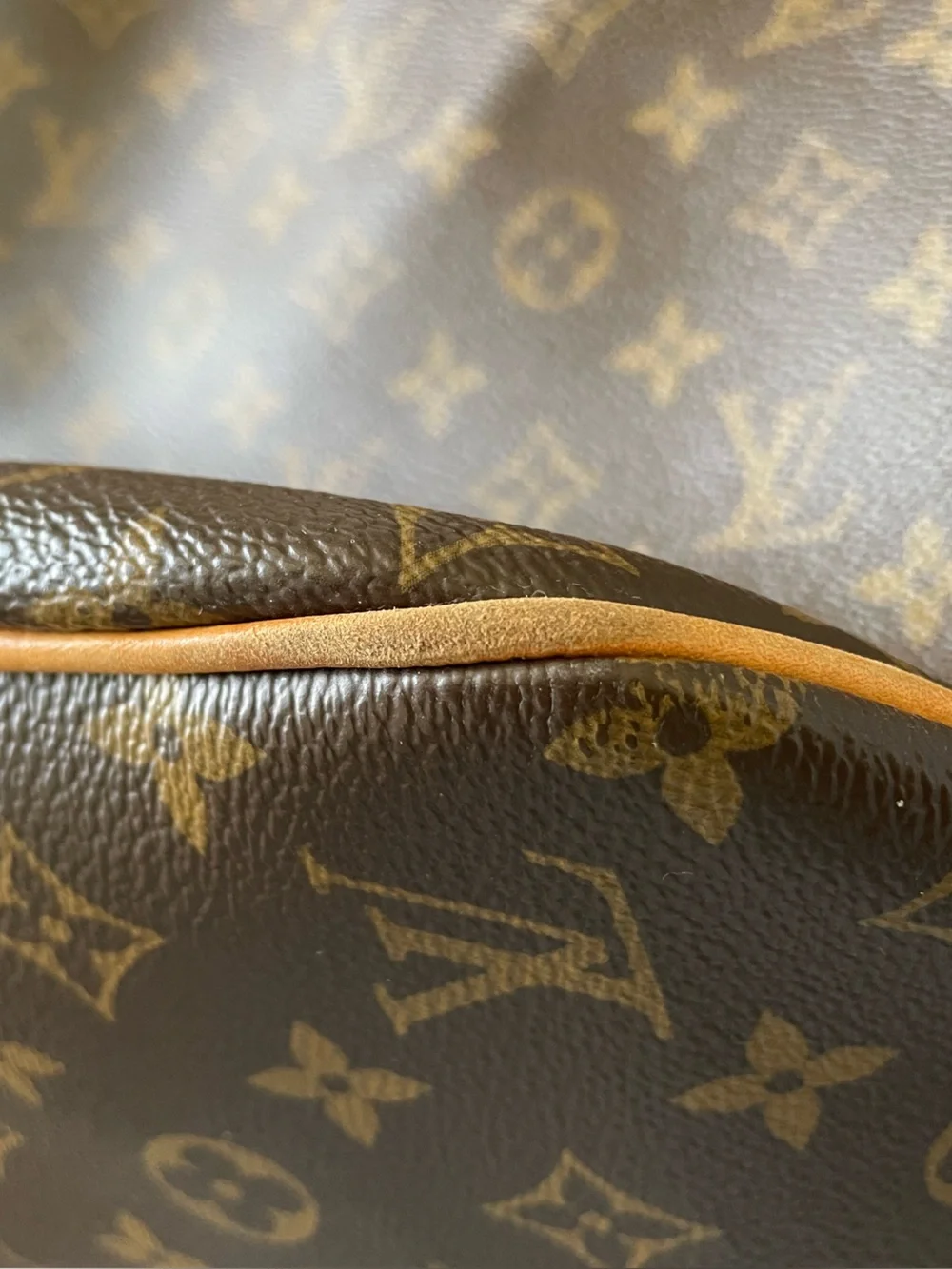 Authentic Louis Vuitton Monogram Delightful MM Bag - Picture 6 of 16